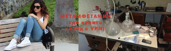 прущие грибы Верхний Тагил