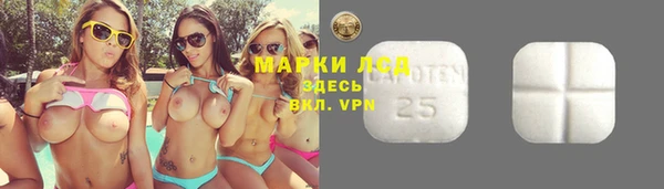 гашик Богородск