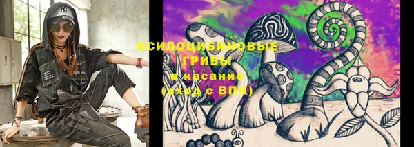прущие грибы Верхний Тагил