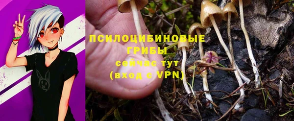 марки lsd Богданович