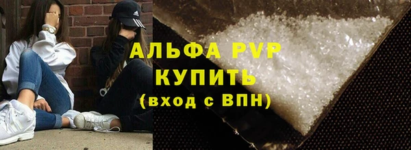 прущие грибы Верхний Тагил