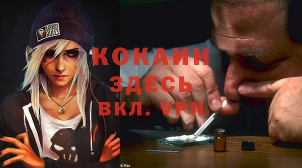 2c-b Богородицк